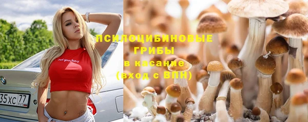 ALPHA-PVP Белокуриха
